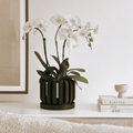 Freno Orchid Planter