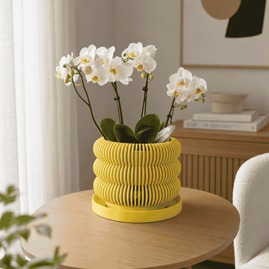 Yellow ribbed planter with white flowers on a wooden table in a room.