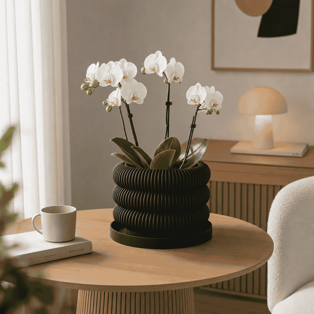 Potted orchid on a wooden table with a cup and book in a cozy room.
